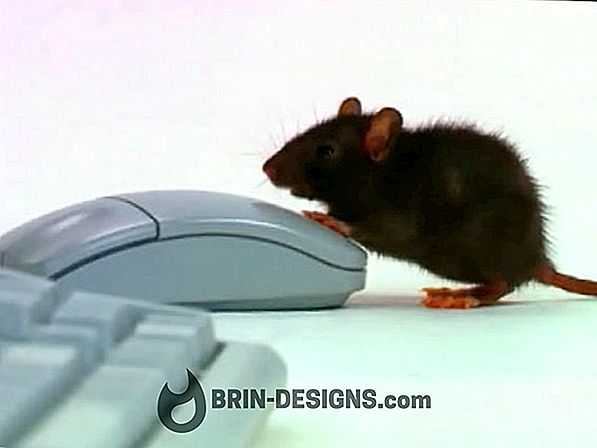 Kategori spil: 
 Hvordan vælger du den rigtige mus